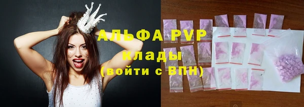 дмт Гусев