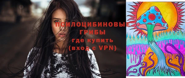 стаф Гусиноозёрск
