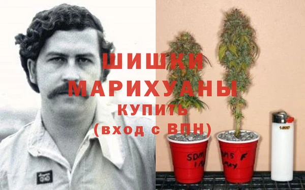 дмт Гусев