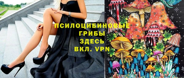 МДМА Горняк