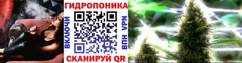 Канабис Amnesia  купить закладку  Жуков 